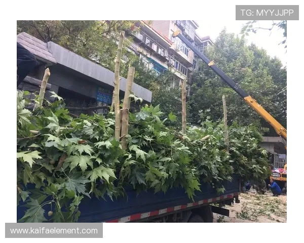 安全访问ag亚网站进入ly的完整流程攻略,帮助用户轻松应对访问障碍确保连续使用体验 安全访问ag亚网站进入ly的完整流程攻略,帮助用户轻松应对访问障碍确保连续使用体验